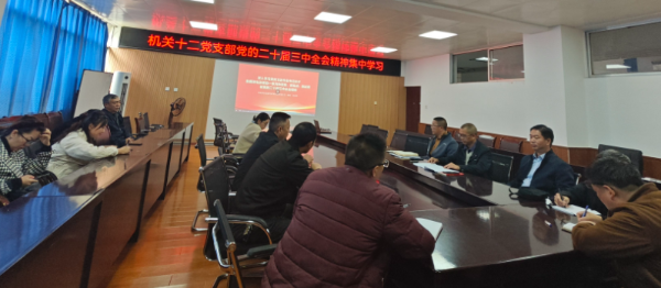 图片1 图片1