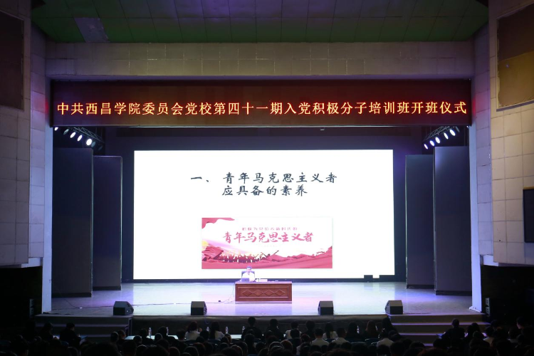 图片5 图片5