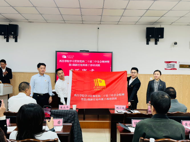 图片11 图片11