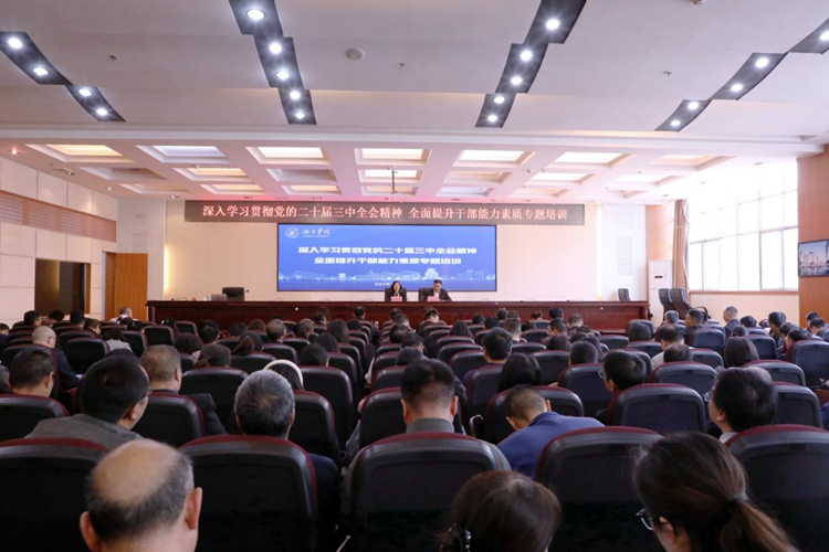 图片4 图片4