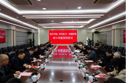 图片1 图片1