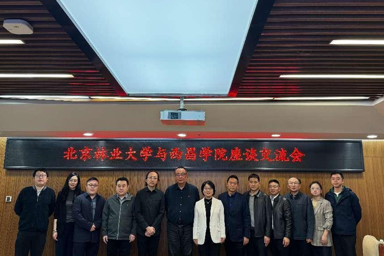 图片1 图片1