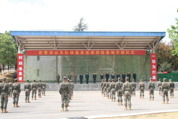 图片1 图片1