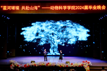 图片4 图片4