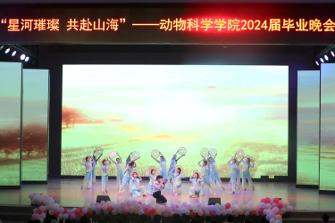 图片6 图片6