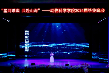 图片7