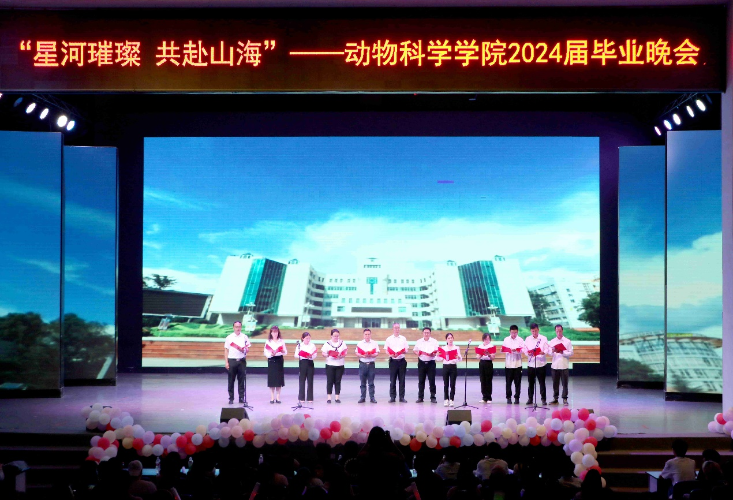 图片10 图片10