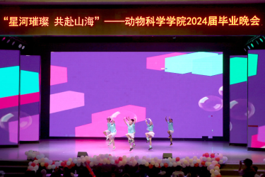 图片11