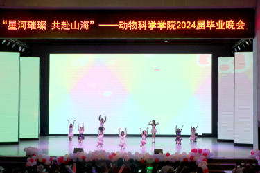 图片13