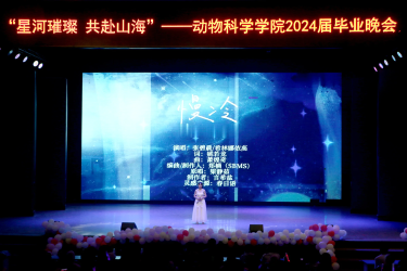 图片14 图片14