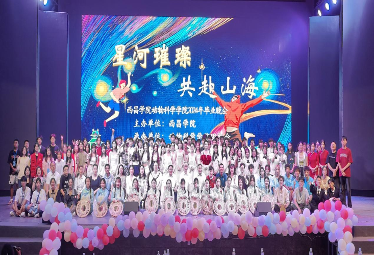 图片17 图片17